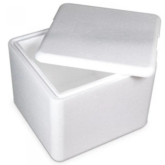 Cutii Termoizolante EPS Pentru Transport