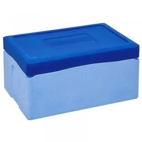 Cutii Termoizolante EPP Fara Insert, 40/55 L-Cutii Din Polistiren Expandat (EPS)