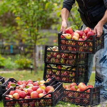 Ladite Din Plastic Pentru Fructe Si Legume