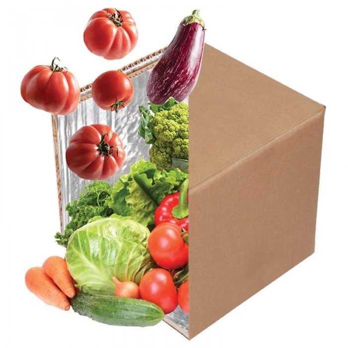 Cutie Termoizolanta Fresh Pack Kit-Cutii Termo Fresh Pentru Produse Perisabile